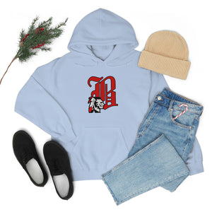 Braves OE Logo Hoodie