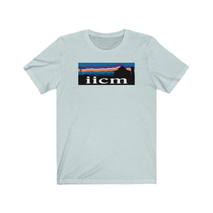 Iowa Iowa City Mission (IICM) T Shirt
