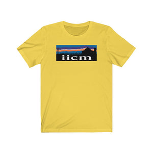 Iowa Iowa City Mission (IICM) T Shirt